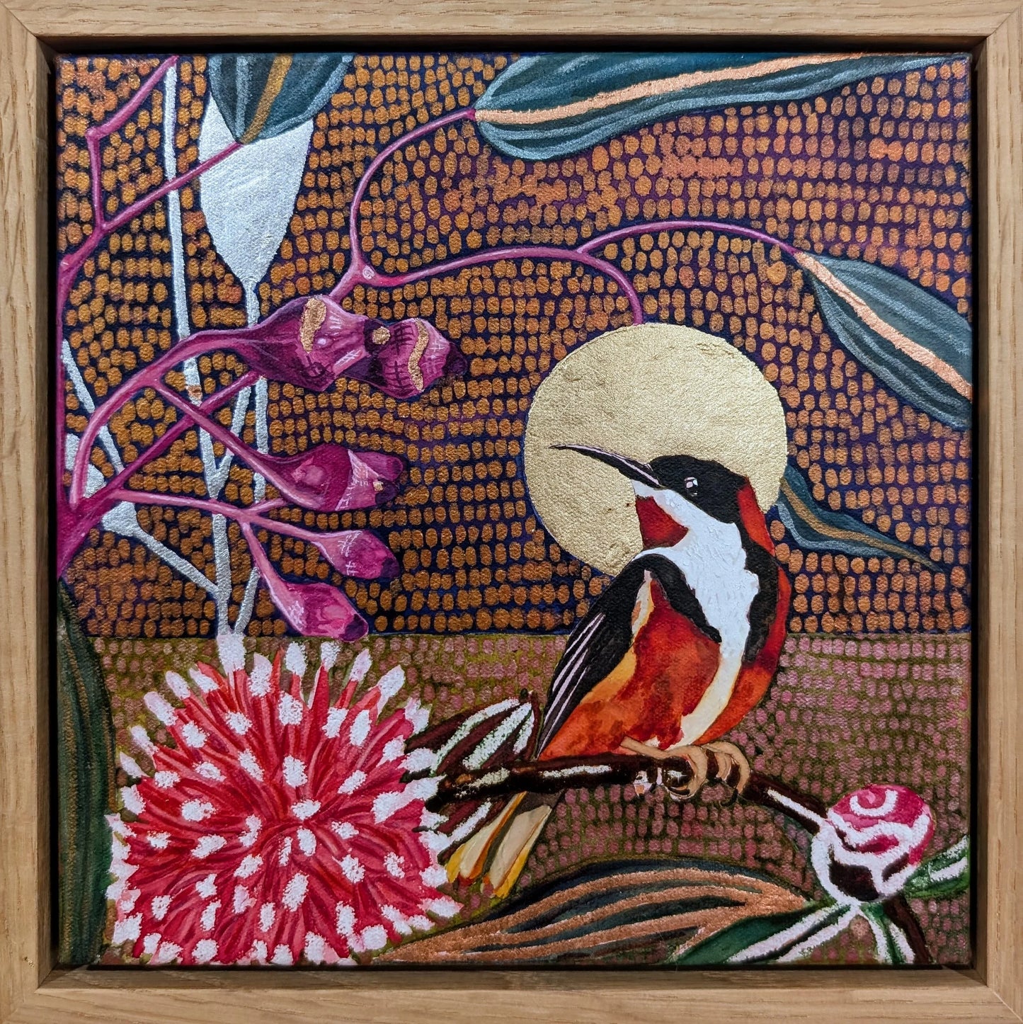 Mr Spinebill with a hakea flowering in a nighttime sky