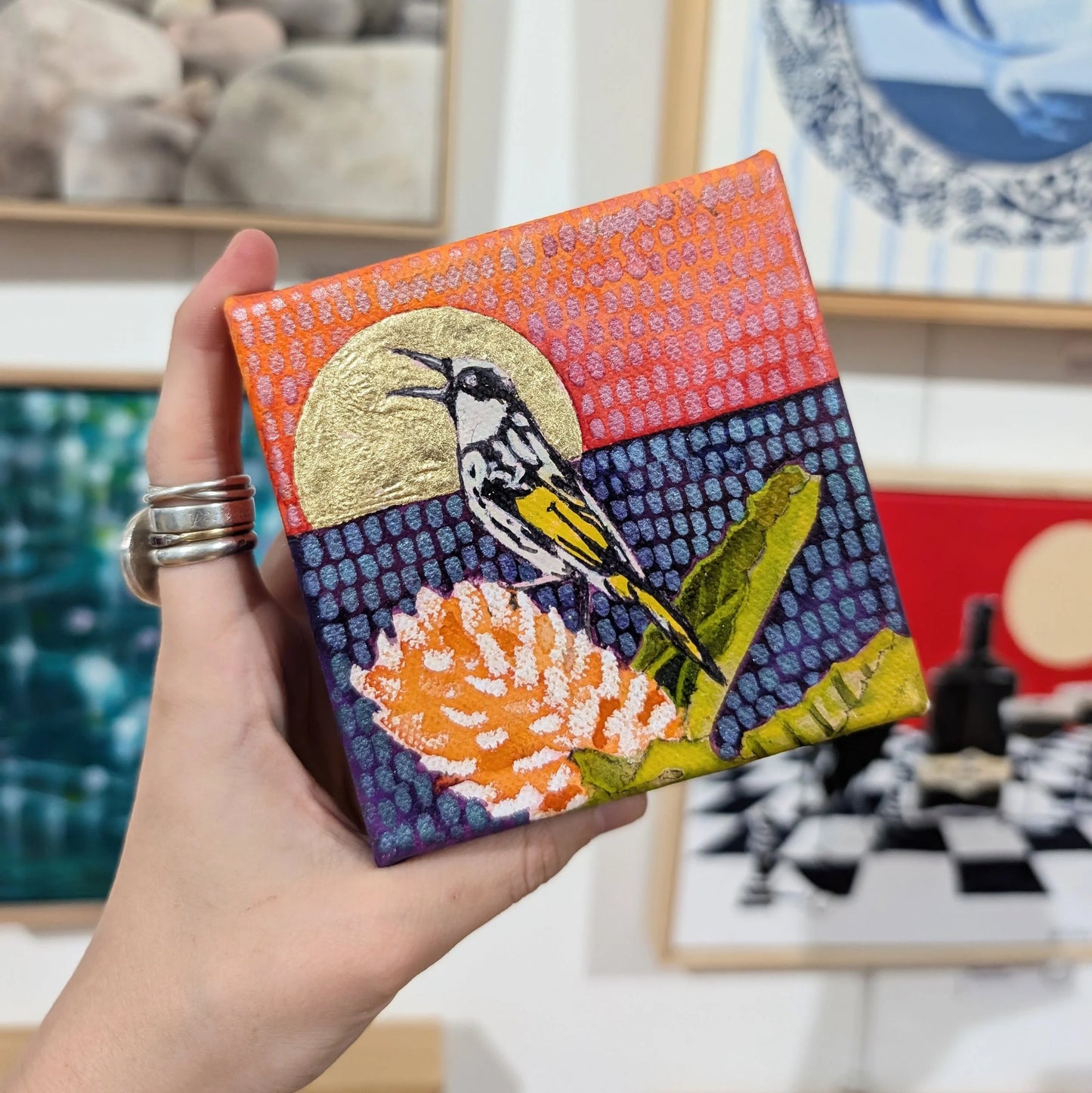 Mr Honey in a golden sun