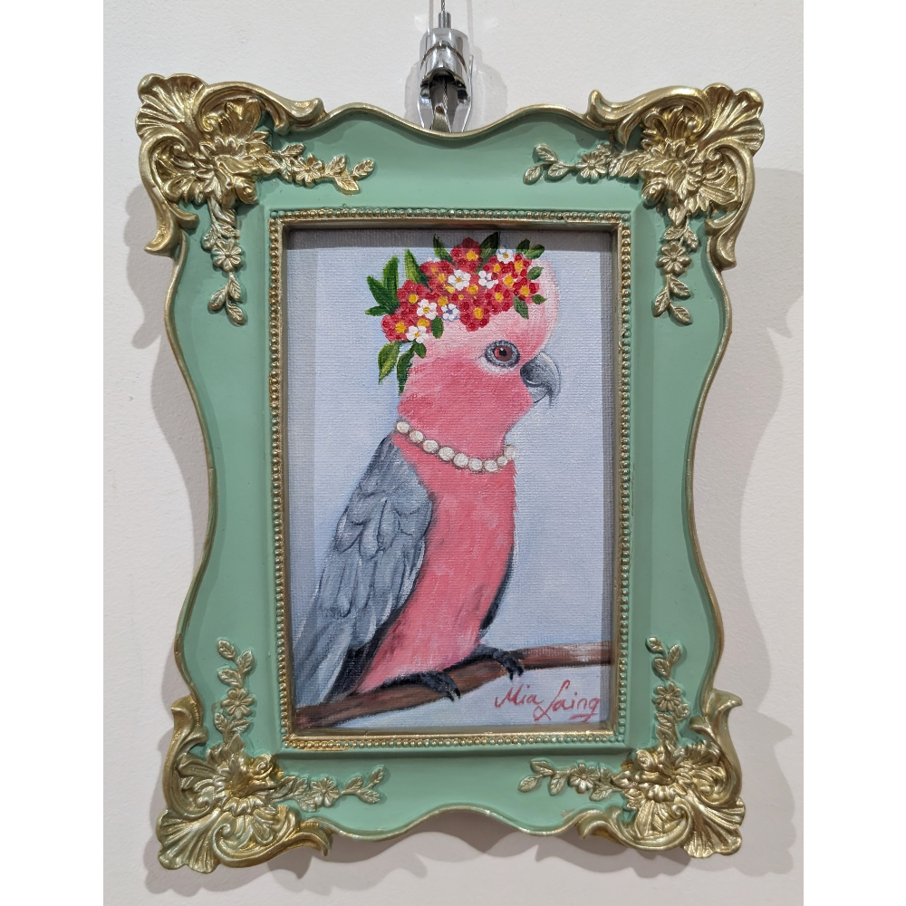 Fancy Feather - Pink & Grey Galah