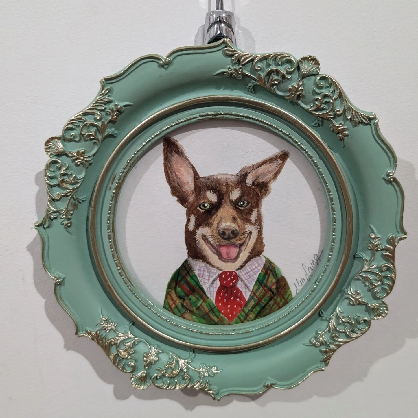 Dapper Dogs - Kelpie