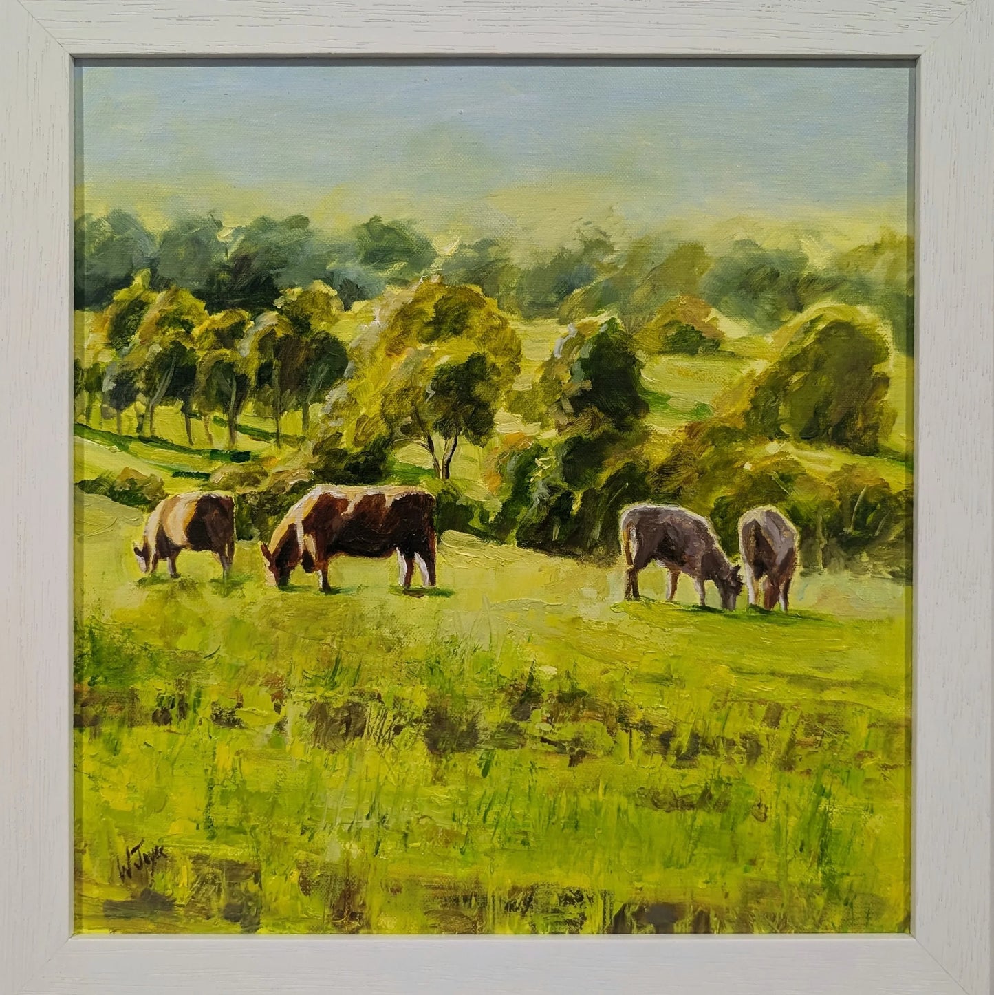 Cattle on Spring Pasture