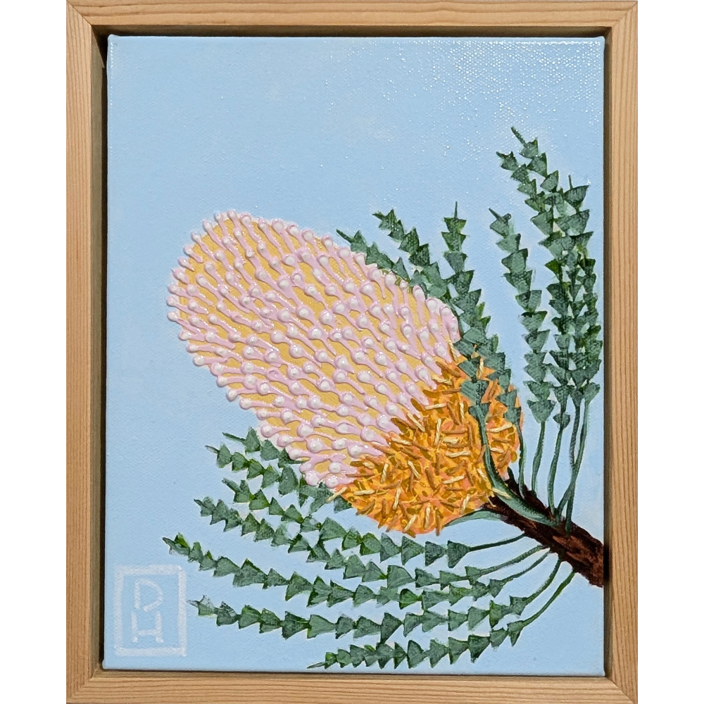 Acorn Banksia