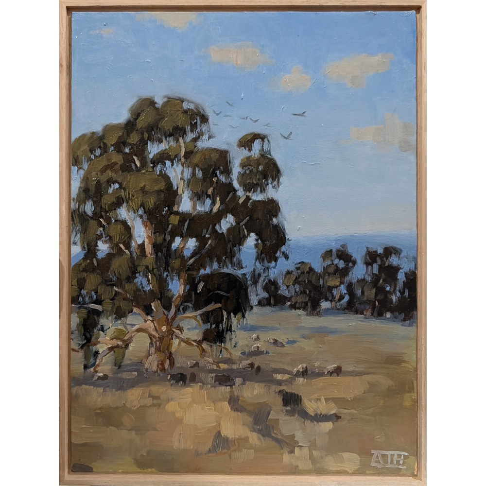 The Shade Tree (On the Highway)