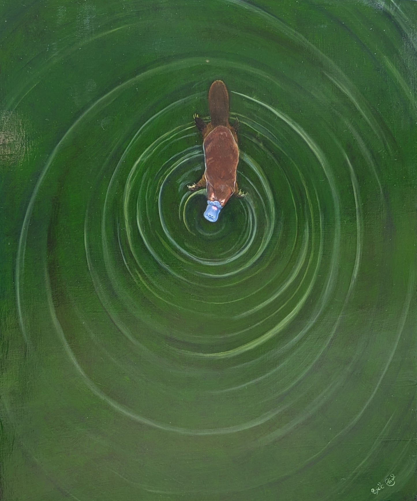 Paddle