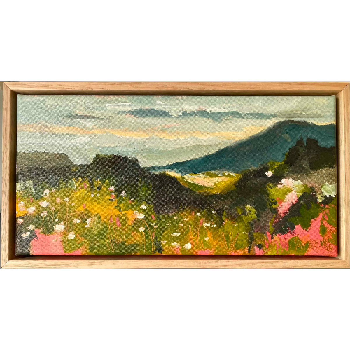 View From Old Beach Hill, Hobart