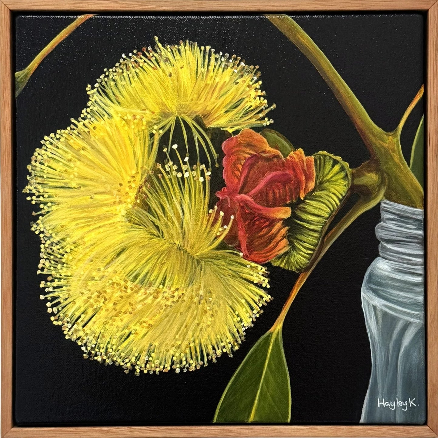 Red Capped Gum in a Jar