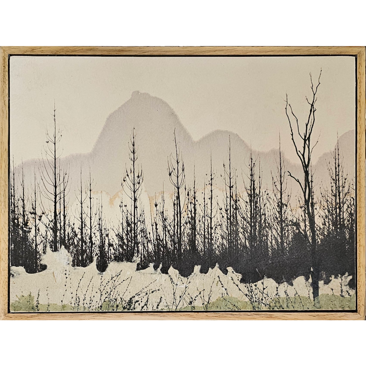 Fog Rising Up to Meet The Pines