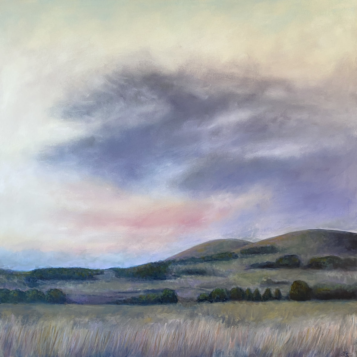 Gentle Morning, Coghills Creek