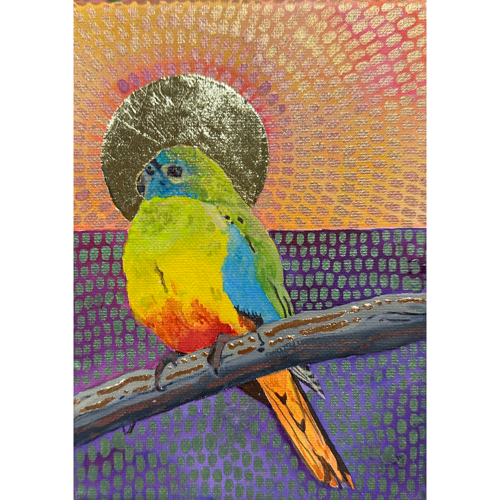 Scarlett parrot under a Yan sun