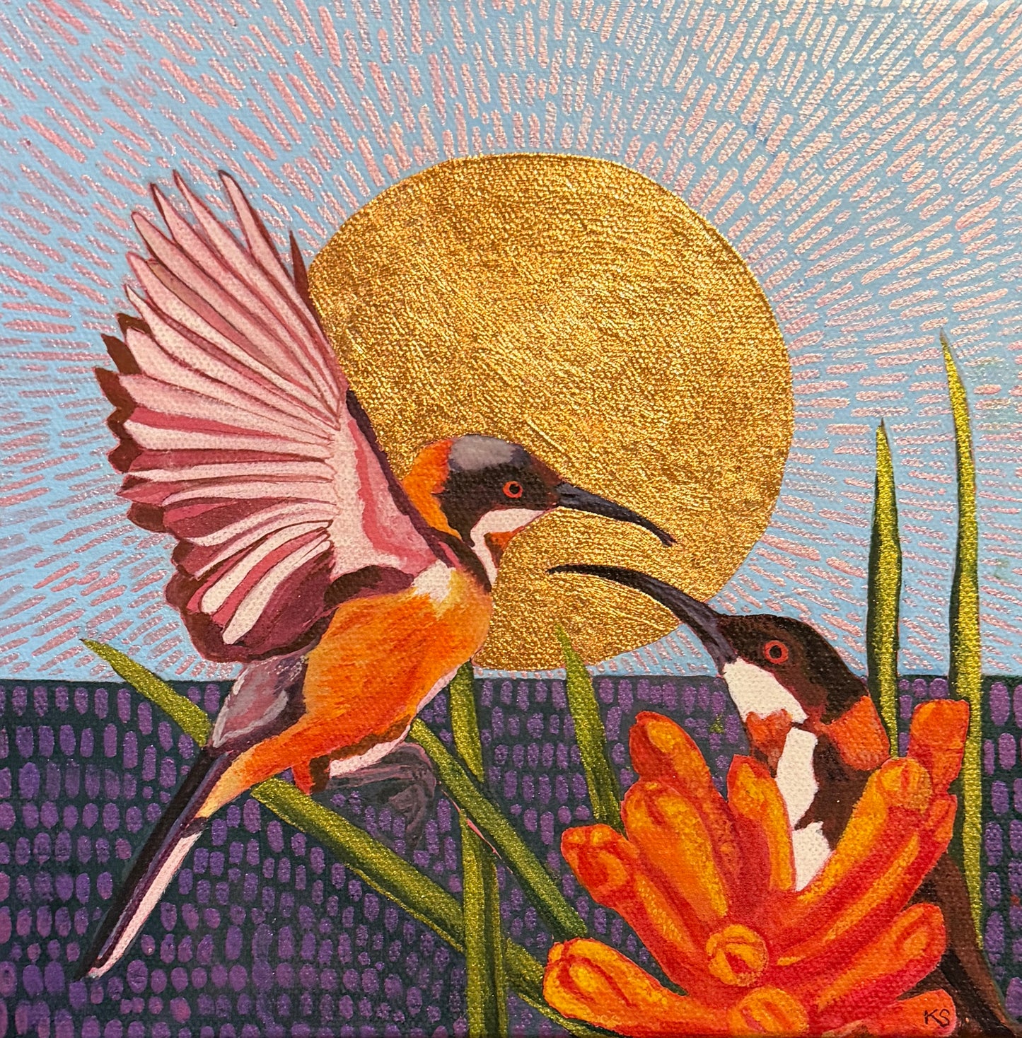 Spinebill lovers with kangaroo paw under a golden sun
