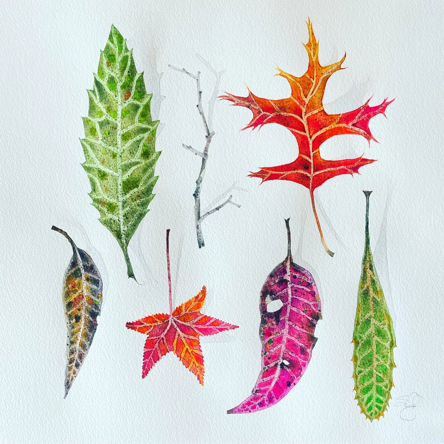 This Is Not A Herbarium