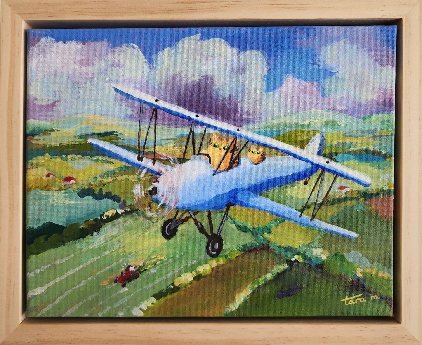 Sky Cats - Blue Biplane