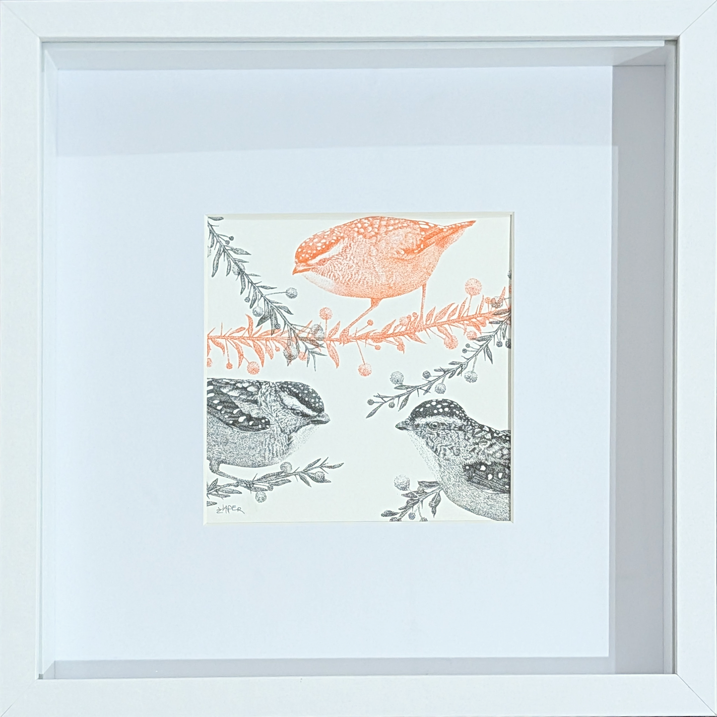 The Pardalote Paradox I