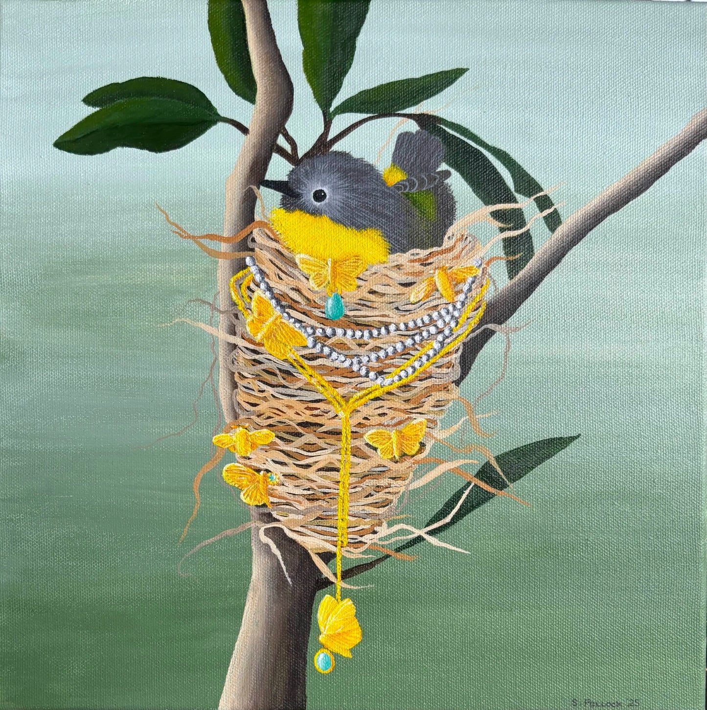 The Extravagant Eastern Yellow Robin