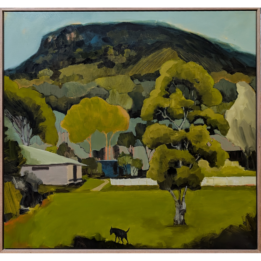 Under the Mountain, from Keira Oval
