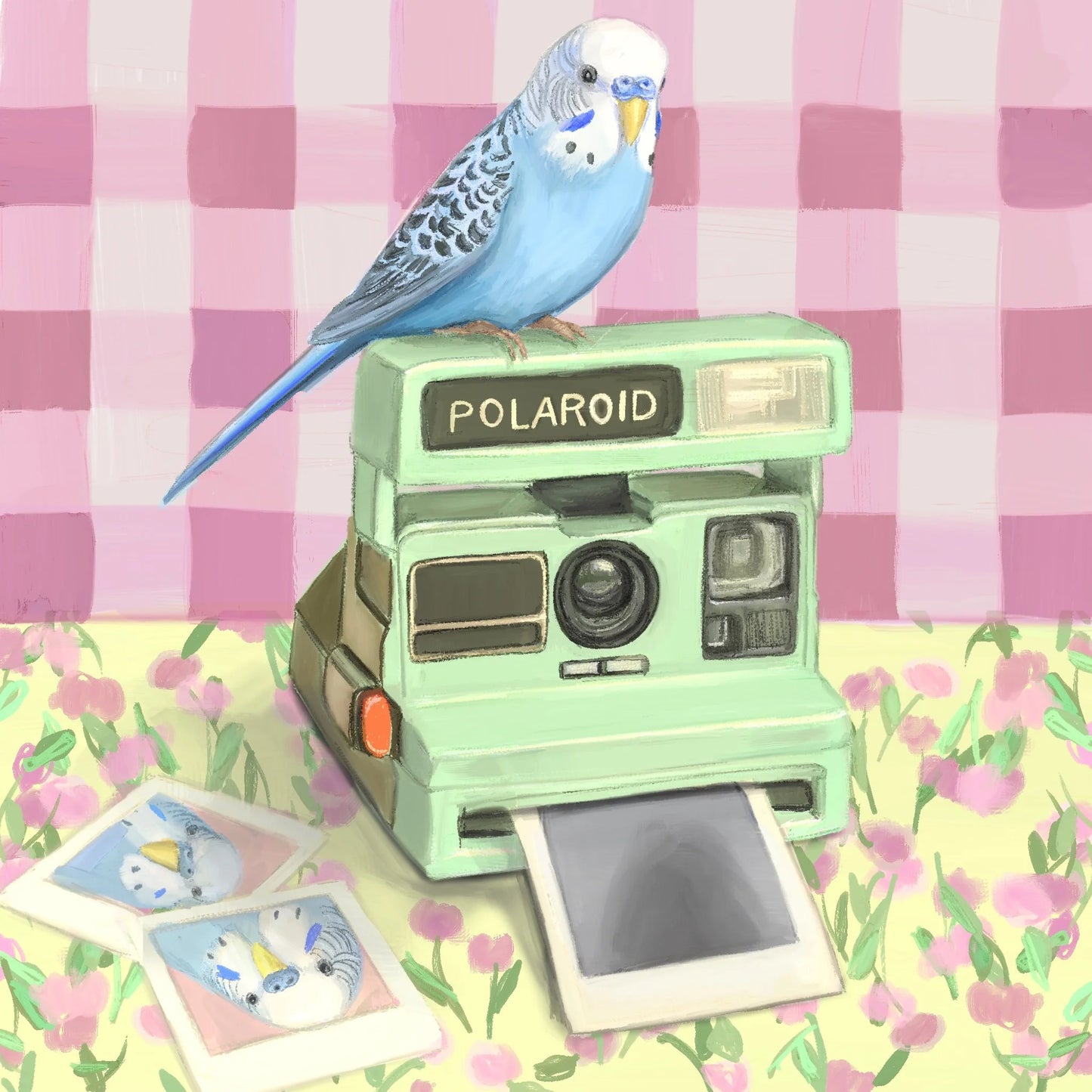 Budgie on Polaroid