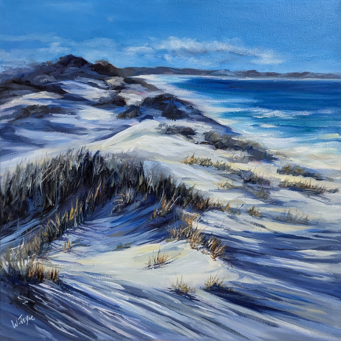 Dune shadows