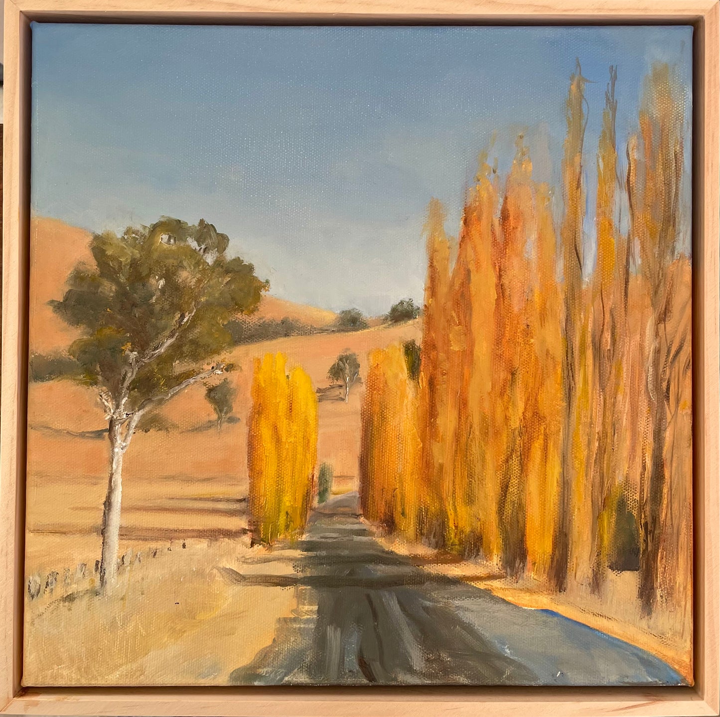 Where the Poplars Hold the Sun