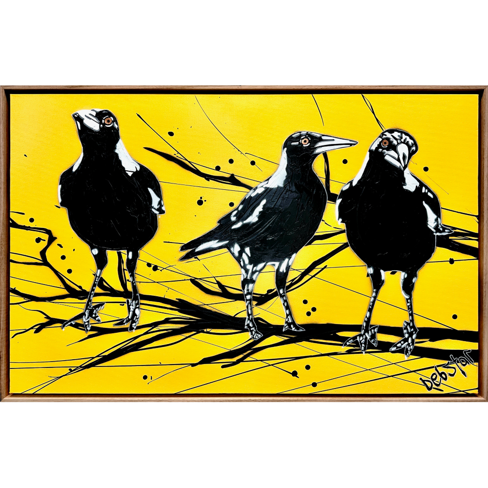 Yellow Magpie Street Birds