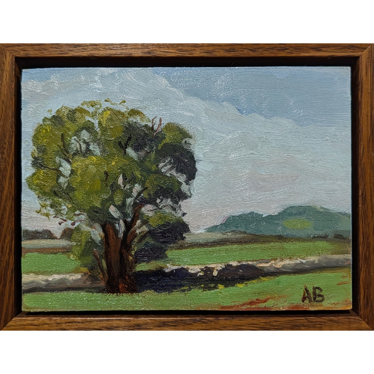 Tree on the Borderline