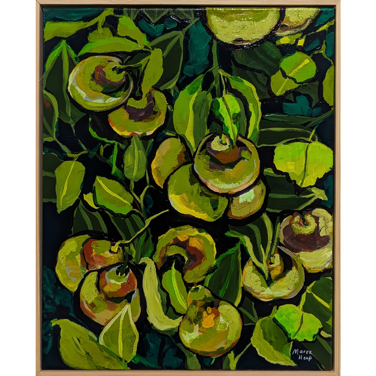 Nashi pears