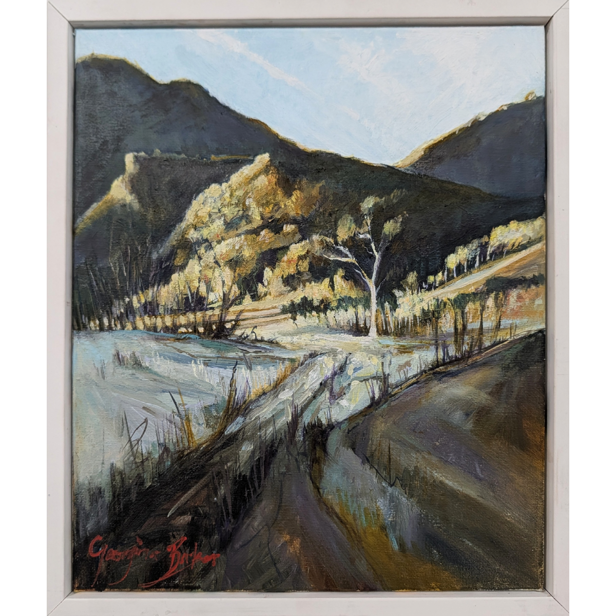 Wattle time at Christmas creek