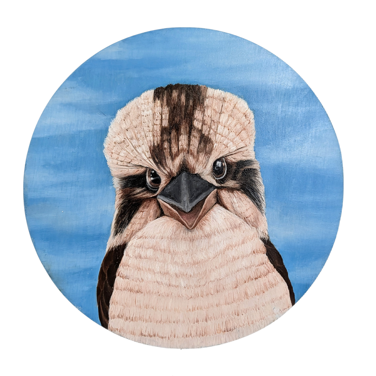 Portrait of a Kookaburra