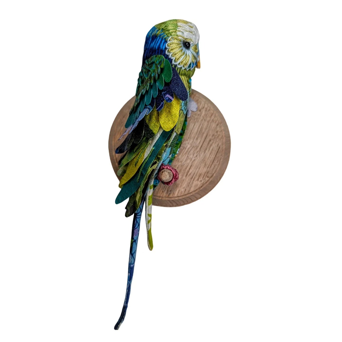 Blue-Green Budgie