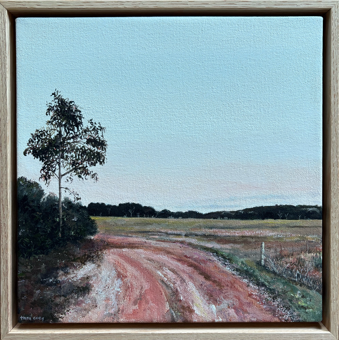 Before the Light Falls