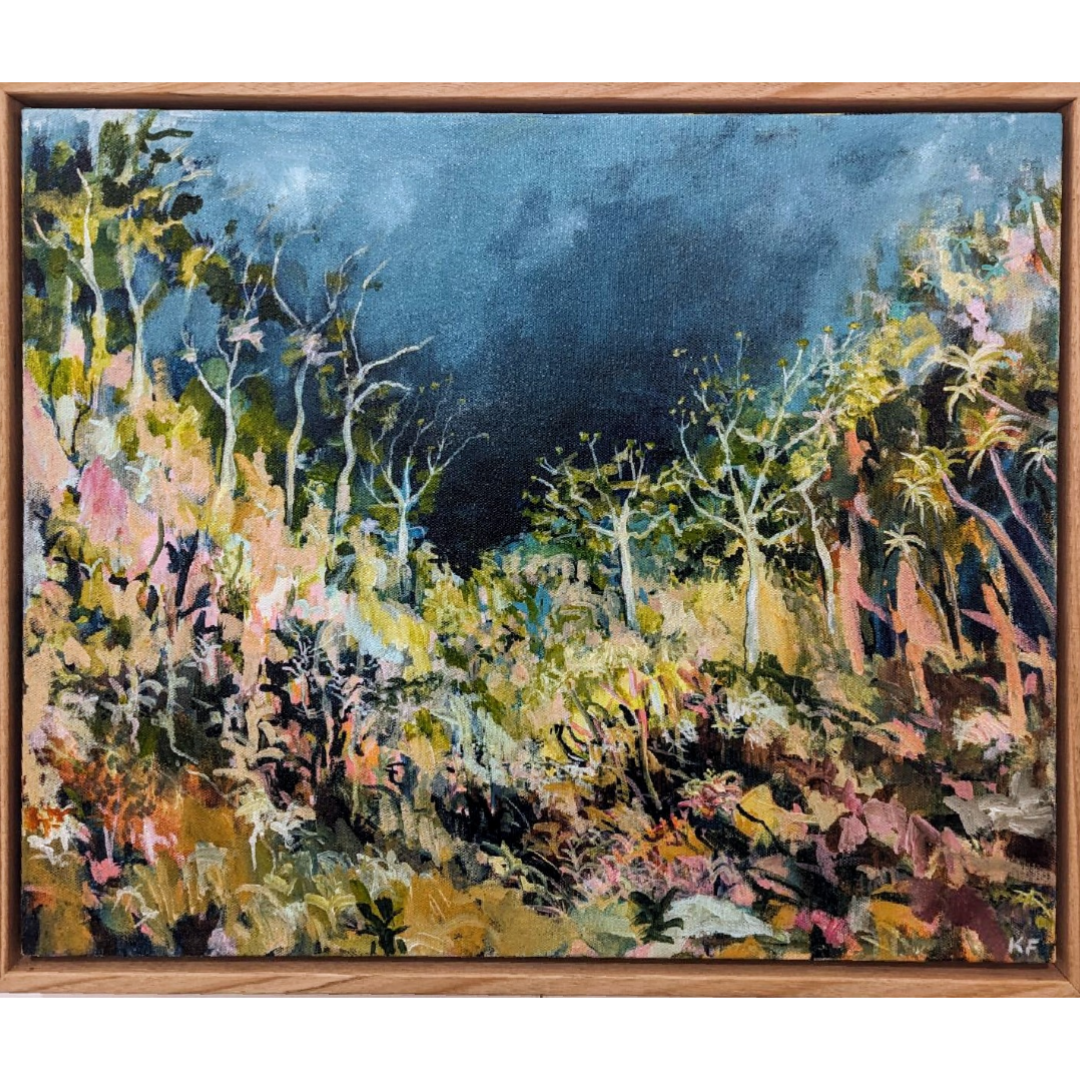 Dark Sky in High Country