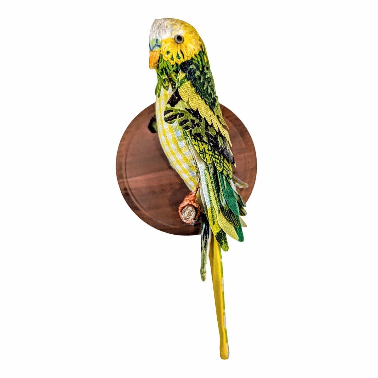 Yellow-Green Budgie