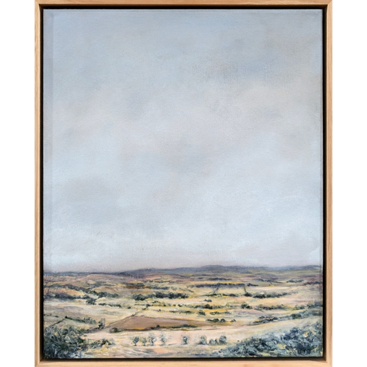 View from the Mount- South West