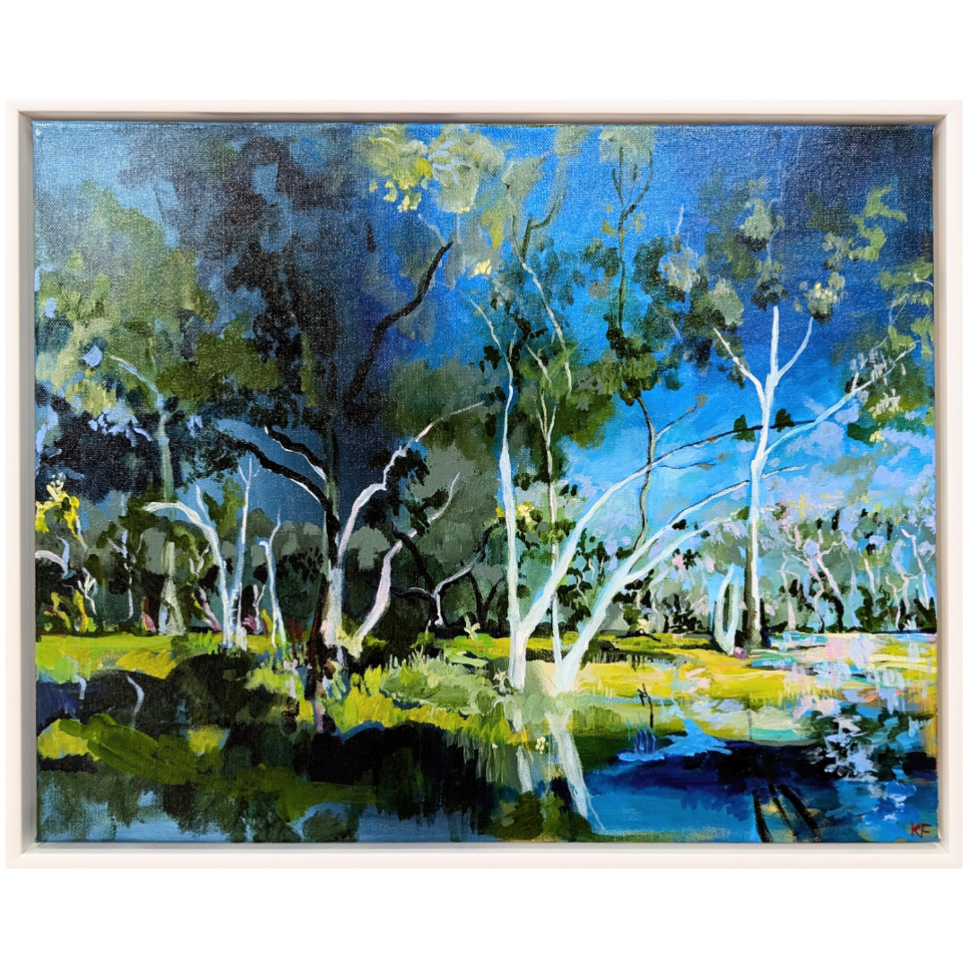 Coolibah Blackbox Woodland