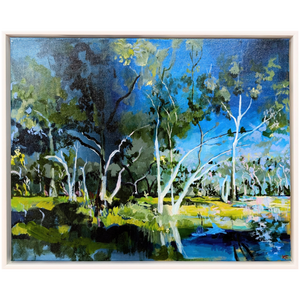 Coolibah Blackbox Woodland