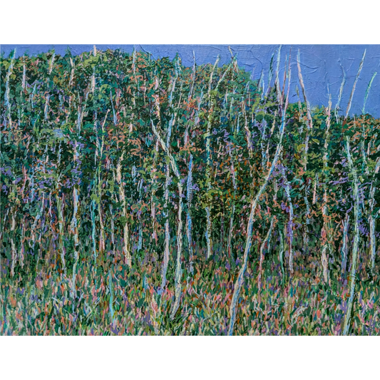 Sanctuary (Blue Mountains)