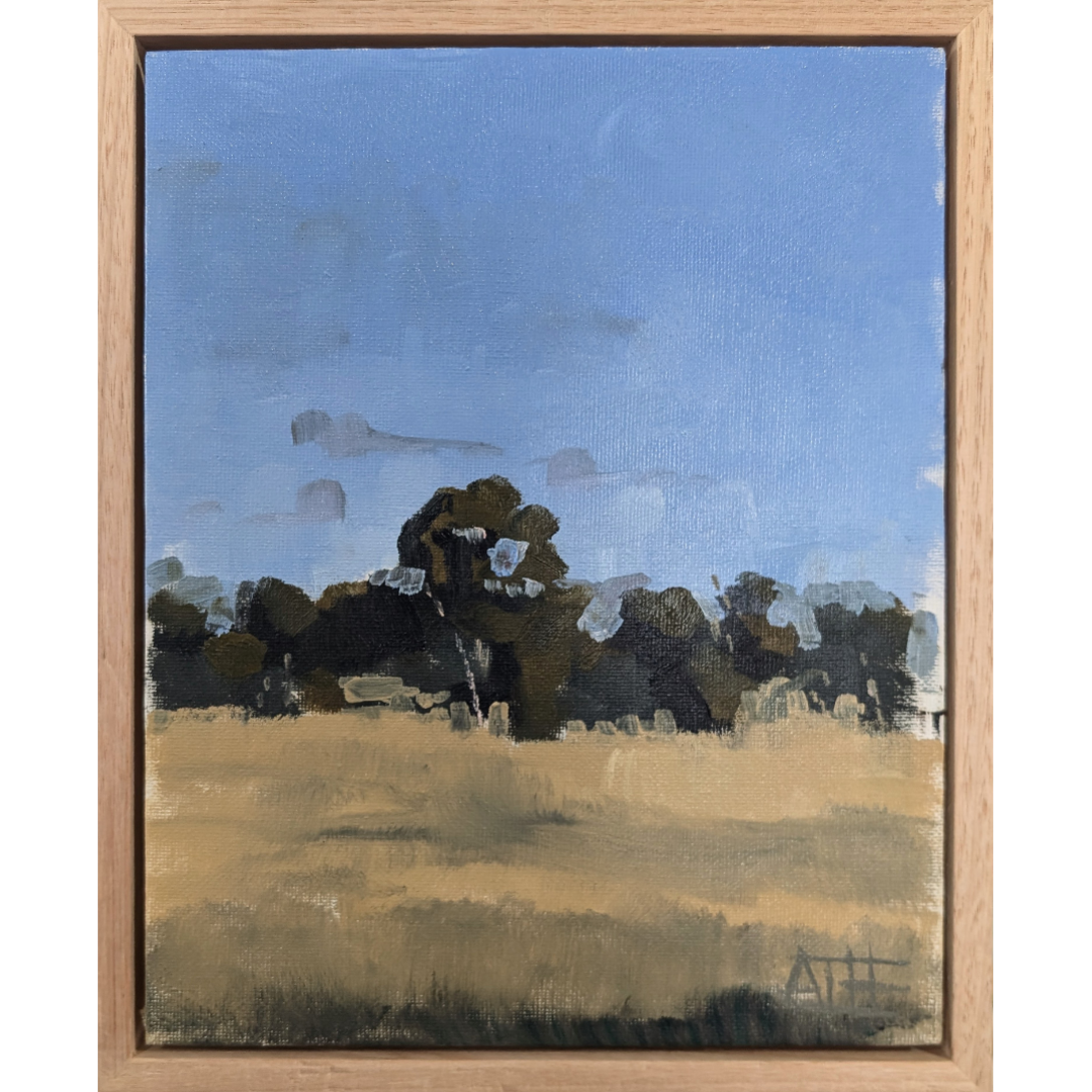 Golden Hour in the Paddocks