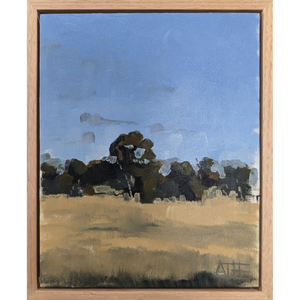 Golden Hour in the Paddocks