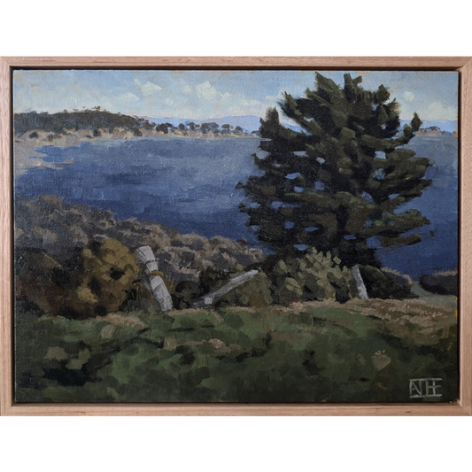 To Sit by the Lake and Soak Up the Sun (Connewarre)