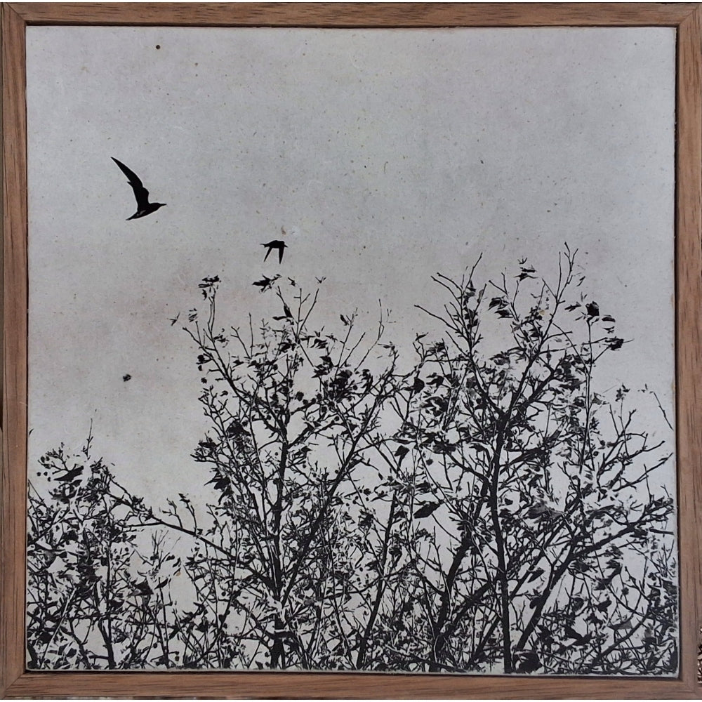 Birds Seeking Rest