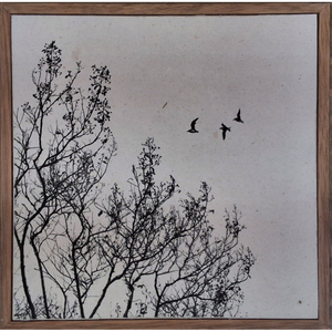 Birds Fly Away
