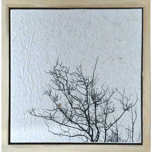 Seed Time and Harvest Shall Not Cease 55