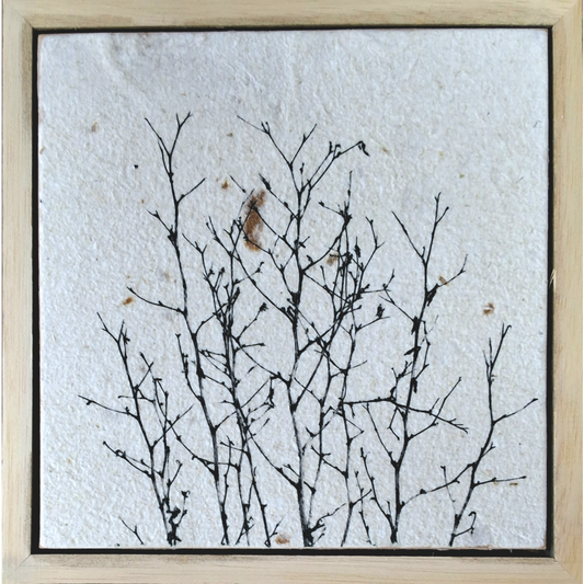 Seed Time and Harvest Shall Not Cease 57