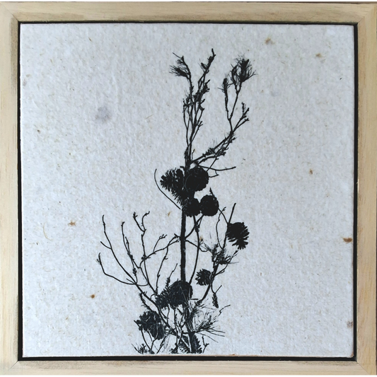 Seed Time and Harvest Shall Not Cease 58