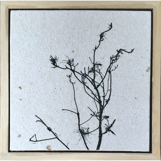 Seed Time and Harvest Shall Not Cease 59