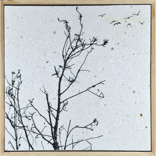 Birds Coming to Nest