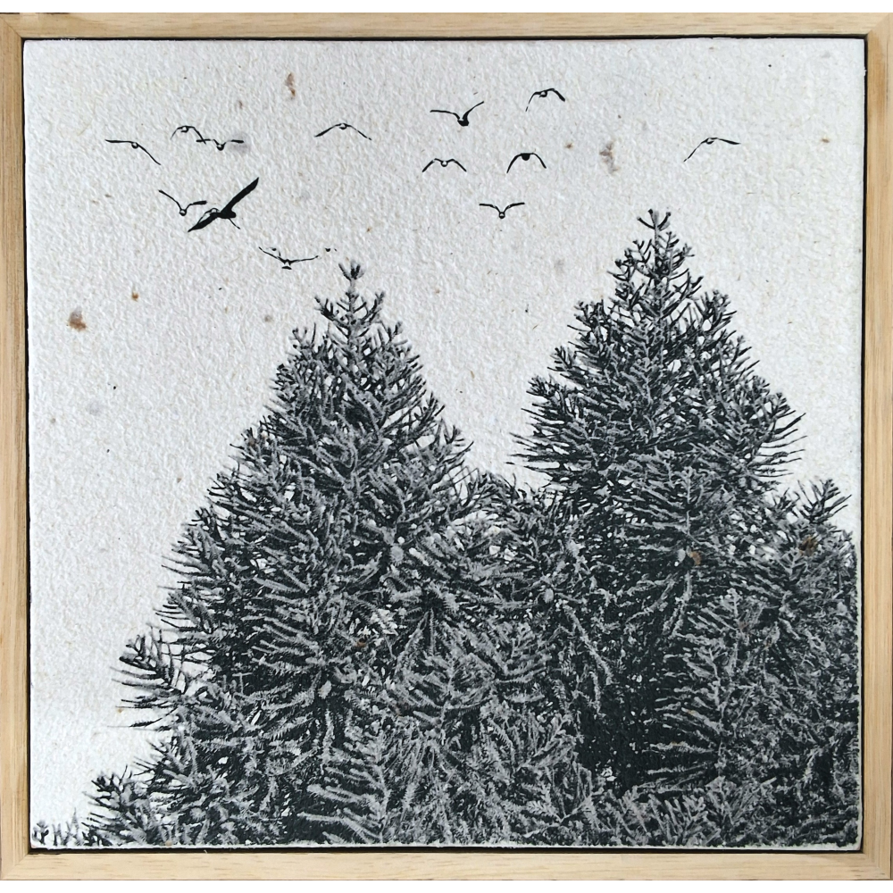 Birds Finding a Hiding Place