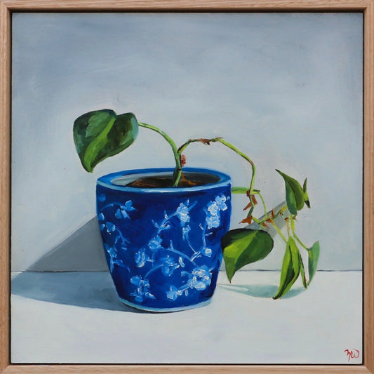 'Brasil Philodendron' in Chinoiserie Pot