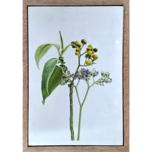 Weeds and Whimsy 9
