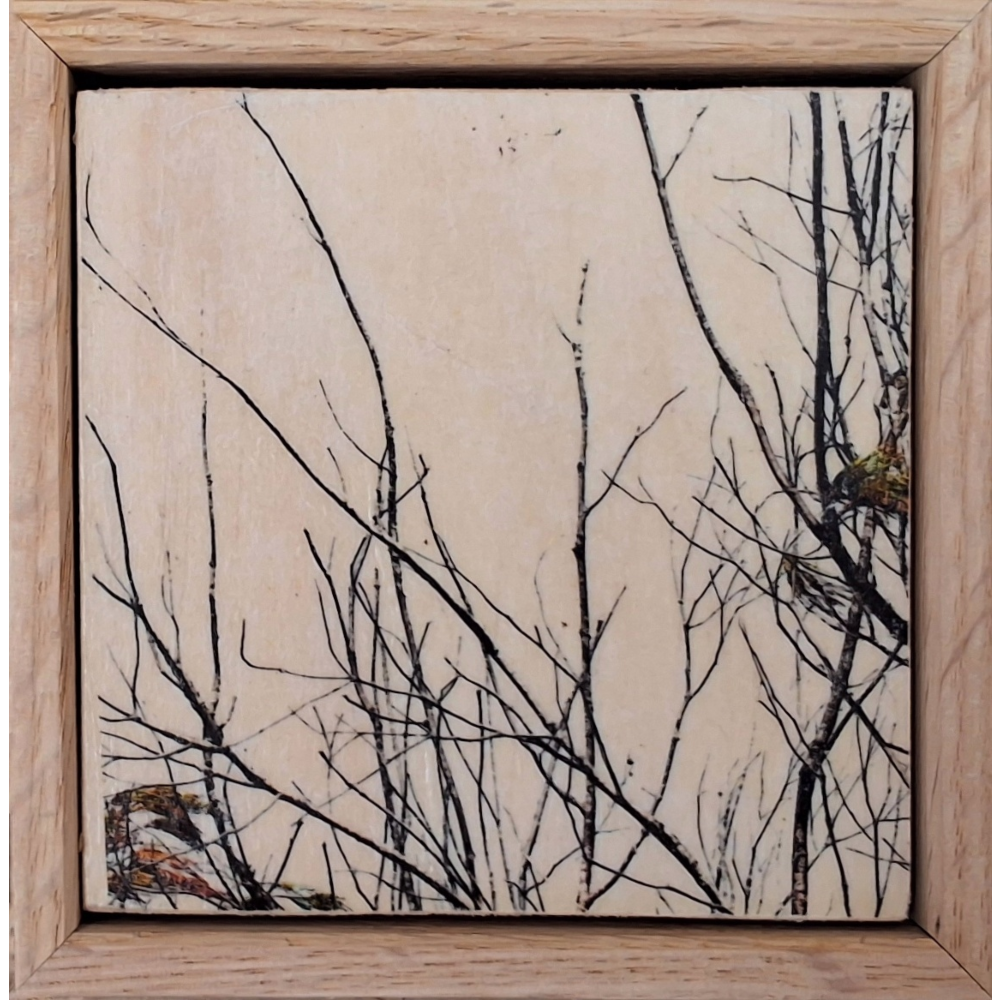 Seeing Through the Trees 8