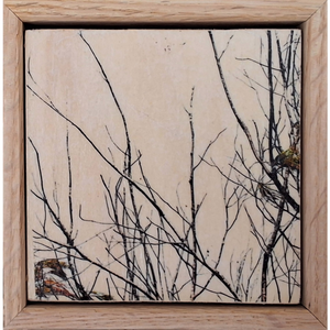 Seeing Through the Trees 8